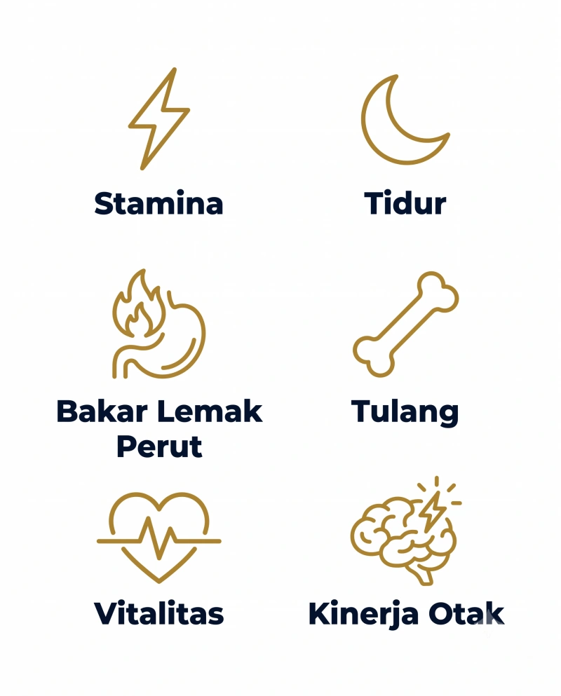6 manfaat Erojan: stamina, tidur, bakar lemak perut, tulang, vitalitas, kinerja otak